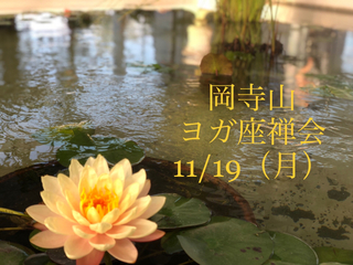 146DBD4C-A304-48D8-9439-342279CB735D.jpg